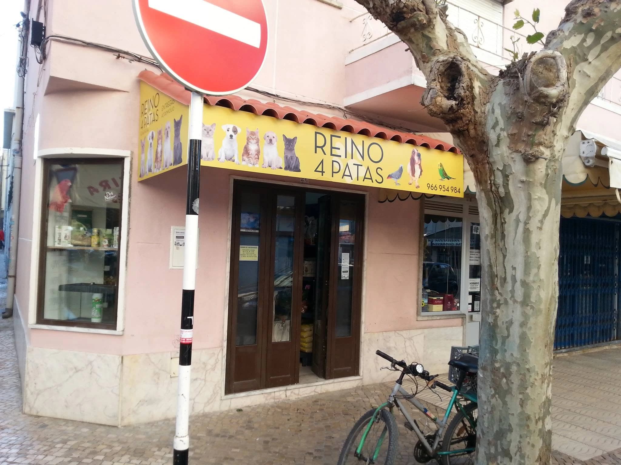 Reino 4 patas